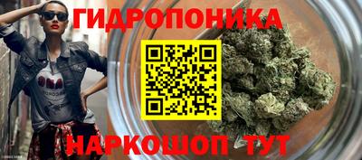 стафф Будённовск