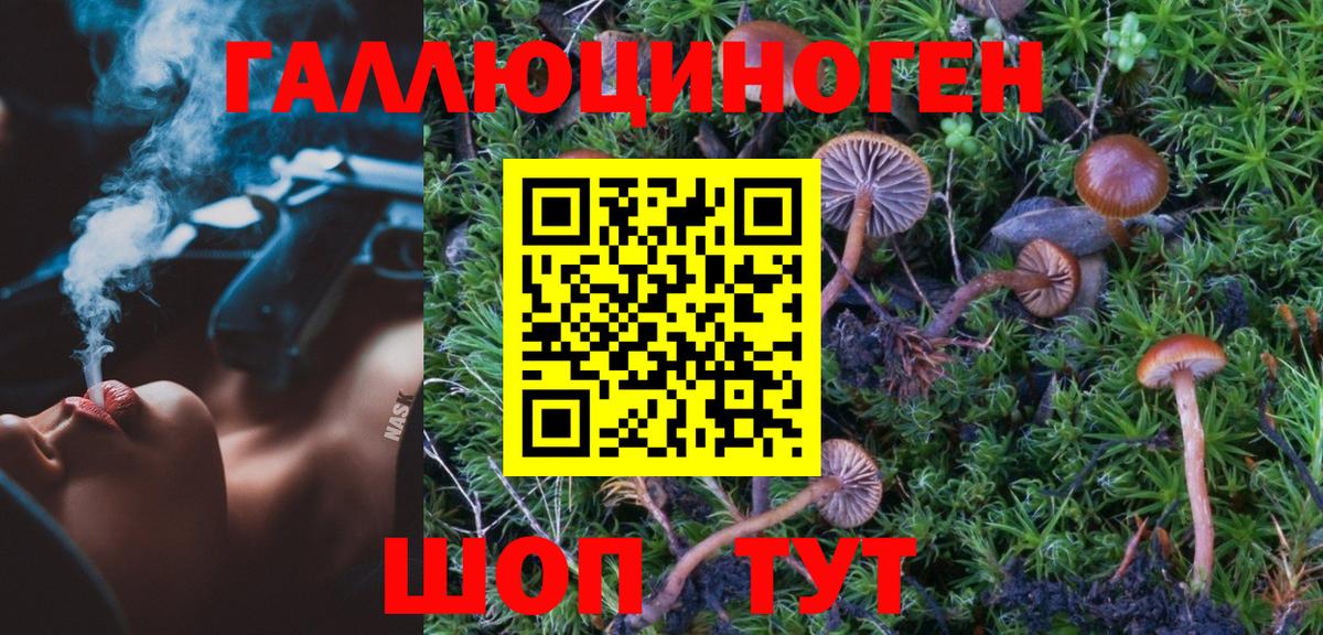 Псилоцибиновые грибы мухоморы Щёлково