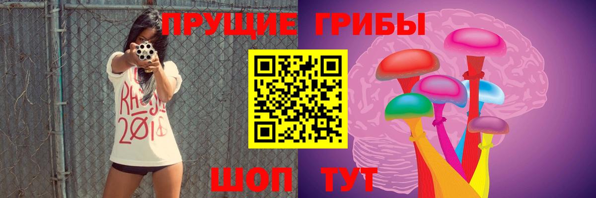 Щёлково  Галлюциногенные грибы Psilocybine cubensis  наркота  Вход с VPN 